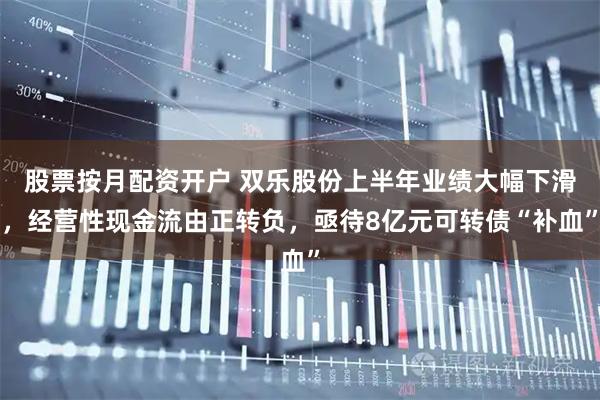 股票按月配资开户 双乐股份上半年业绩大幅下滑，经营性现金流由正转负，亟待8亿元可转债“补血”